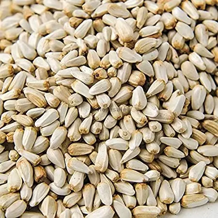 Kusum Seeds - Dev Tandoor Industries